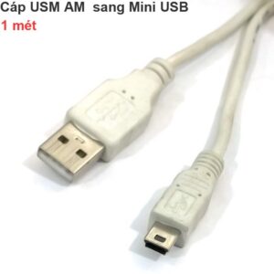 Cáp USB AM sang Mini USB 1 mét cho Máy tính ra Máy ảnh Avermedia GL310