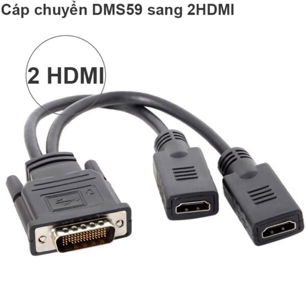 Cáp chuyển LFH DMS 59 sang 2 cổng HDMI