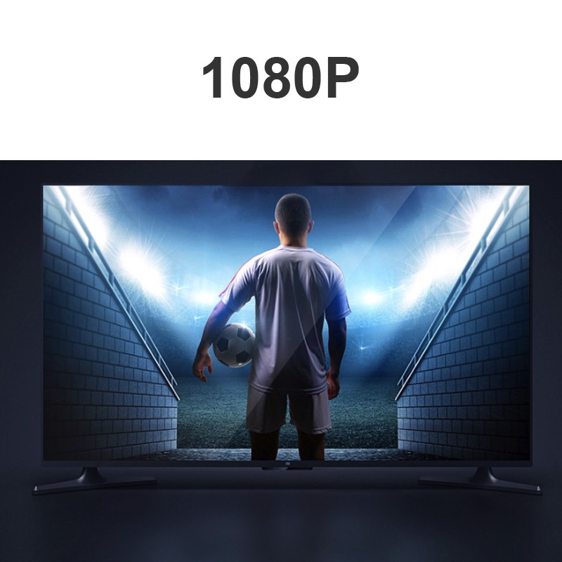 Đầu đổi DVI D 24+1 sang HDMI 1080P Veggieg HD24-1